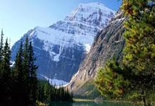 時產20-40噸彈簧對輥破碎機，小型石料廠的理想選擇！:鋼板彈簧廠