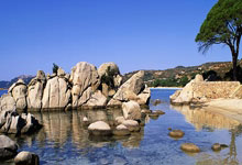 中國石油長慶油田采氣三廠以查促管讓生產安全落地有聲:鋼板樁生產廠